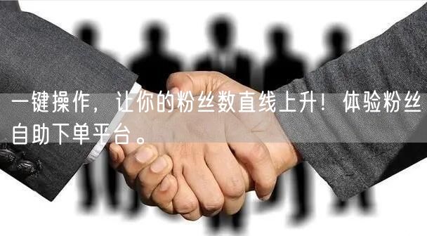 一键操作，让你的粉丝数直线上升！体验粉丝自助下单平台。