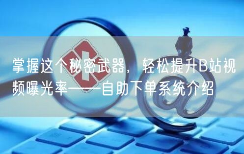掌握这个秘密武器，轻松提升B站视频曝光率——自助下单系统介绍