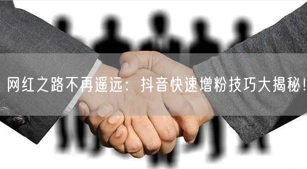 网红之路不再遥远：抖音快速增粉技巧大揭秘！