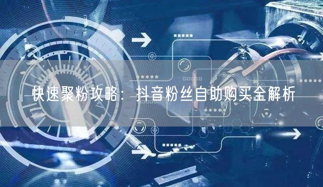快速聚粉攻略：抖音粉丝自助购买全解析