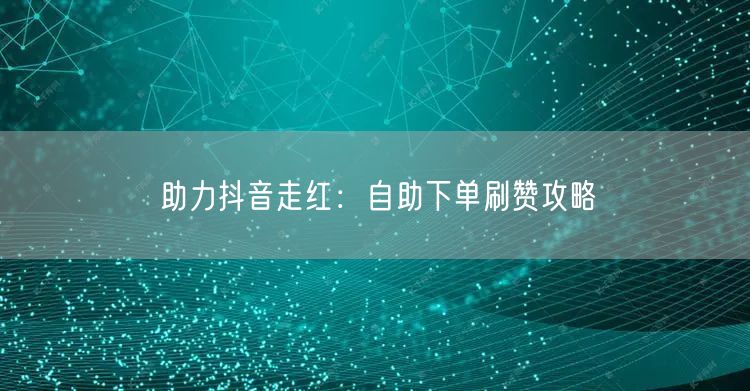 助力抖音走红：自助下单刷赞攻略