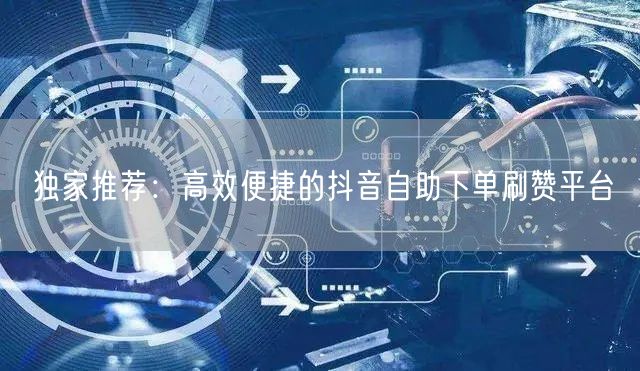 独家推荐：高效便捷的抖音自助下单刷赞平台