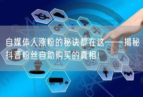 自媒体人涨粉的秘诀都在这——揭秘抖音粉丝自助购买的真相！