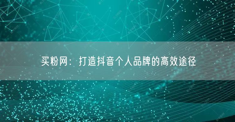 买粉网：打造抖音个人品牌的高效途径
