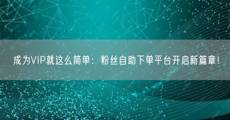 成为VIP就这么简单：粉丝自助下单平台开启新篇章！
