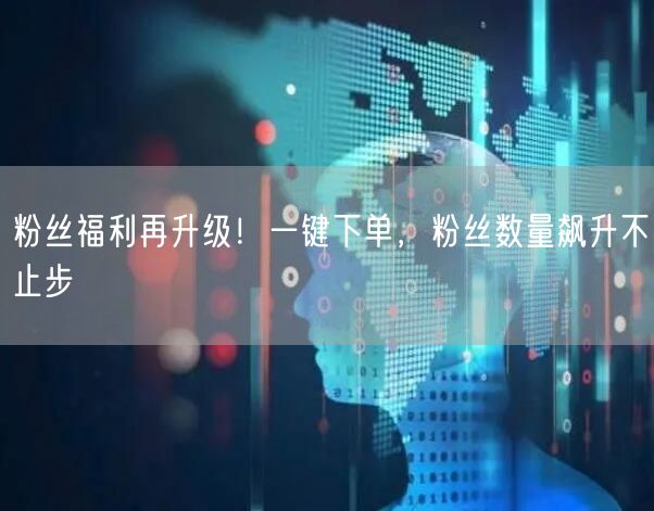 粉丝福利再升级！一键下单，粉丝数量飙升不止步