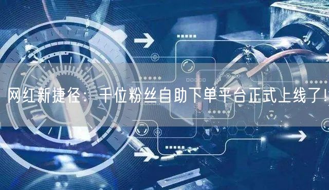 网红新捷径：千位粉丝自助下单平台正式上线了！