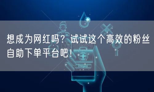 想成为网红吗？试试这个高效的粉丝自助下单平台吧！