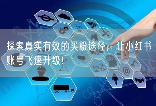探索真实有效的买粉途径，让小红书账号飞速升级！