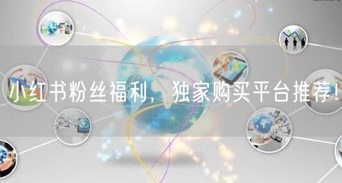 小红书粉丝福利，独家购买平台推荐！