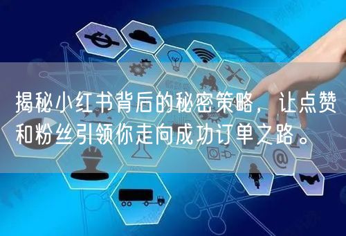 揭秘小红书背后的秘密策略，让点赞和粉丝引领你走向成功订单之路。