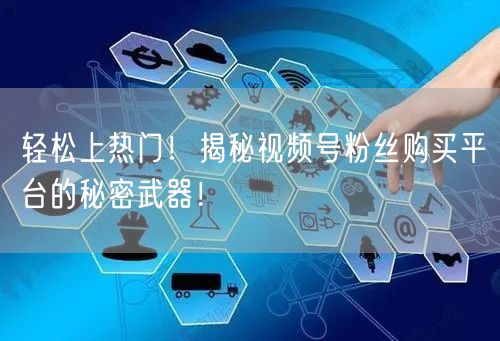 轻松上热门！揭秘视频号粉丝购买平台的秘密武器！