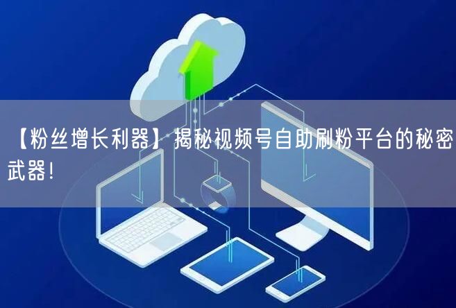 【粉丝增长利器】揭秘视频号自助刷粉平台的秘密武器！