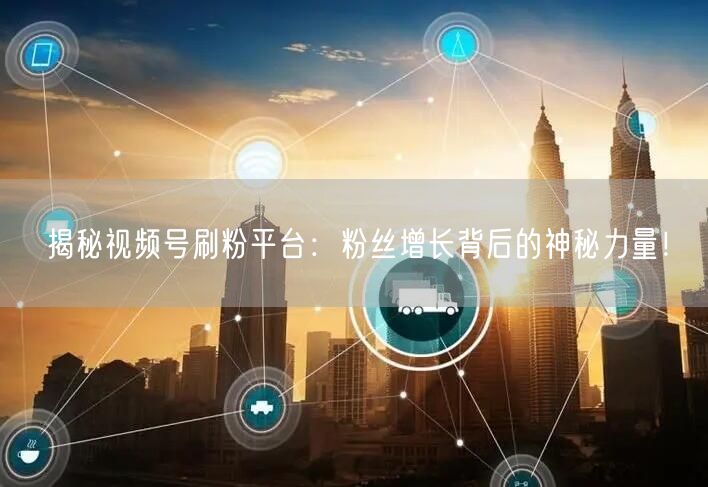揭秘视频号刷粉平台：粉丝增长背后的神秘力量！