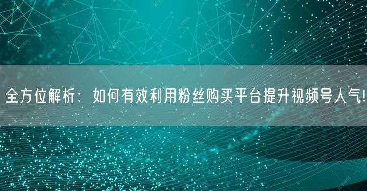 全方位解析：如何有效利用粉丝购买平台提升视频号人气!
