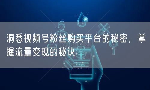 洞悉视频号粉丝购买平台的秘密，掌握流量变现的秘诀