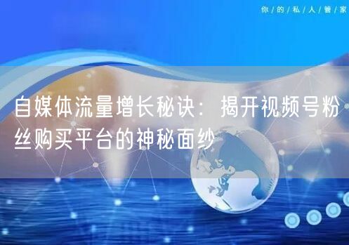 自媒体流量增长秘诀：揭开视频号粉丝购买平台的神秘面纱