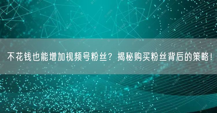 不花钱也能增加视频号粉丝？揭秘购买粉丝背
