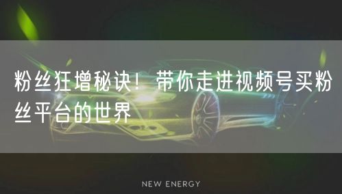 粉丝狂增秘诀！带你走进视频号买粉丝平台的世界