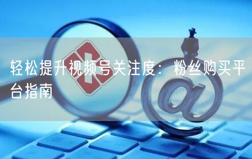 轻松提升视频号关注度：粉丝购买平台指南
