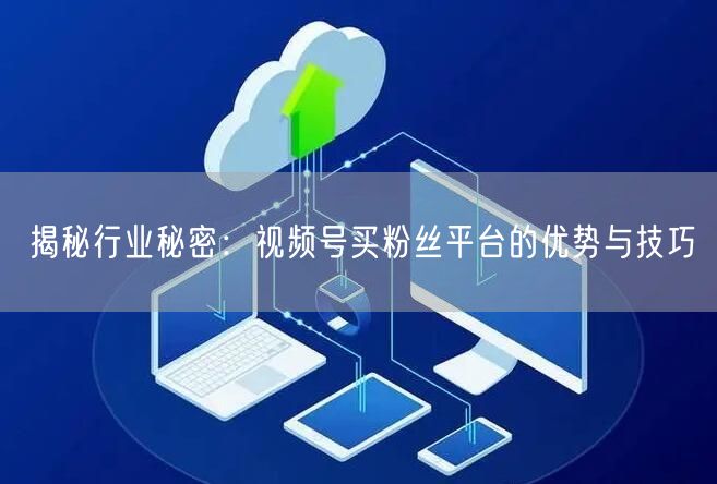 揭秘行业秘密：视频号买粉丝平台的优势与技巧