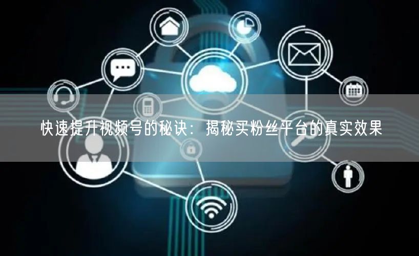 快速提升视频号的秘诀：揭秘买粉丝平台的真实效果