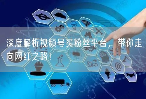 深度解析视频号买粉丝平台，带你走向网红之路！