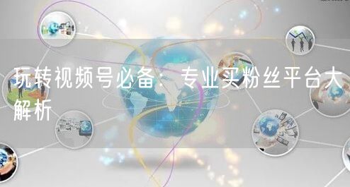 玩转视频号必备：专业买粉丝平台大解析