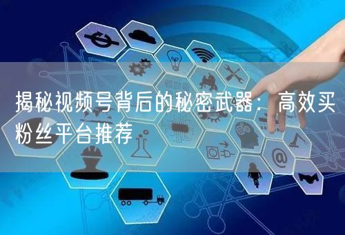 揭秘视频号背后的秘密武器：高效买粉丝平台推荐