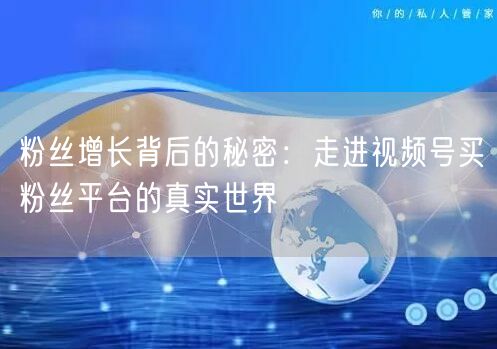 粉丝增长背后的秘密：走进视频号买粉丝平台的真实世界