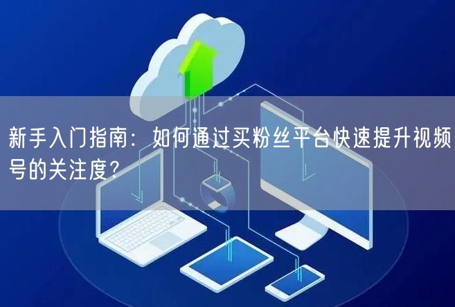 新手入门指南：如何通过买粉丝平台快速提升视频号的关注度？