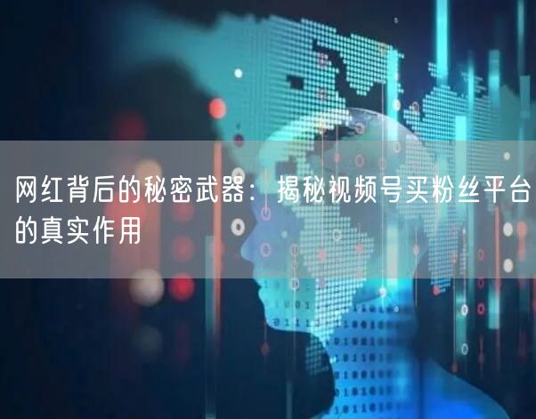 网红背后的秘密武器：揭秘视频号买粉丝平台的真实作用