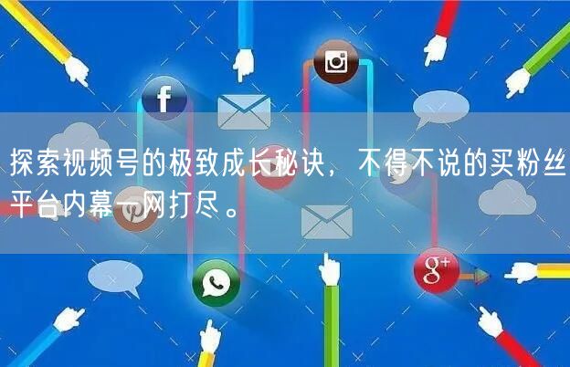 探索视频号的极致成长秘诀，不得不说的买粉丝平台内幕一网打尽。