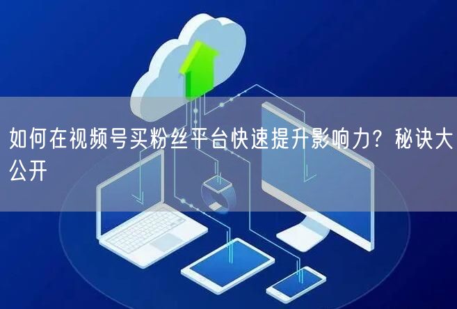 如何在视频号买粉丝平台快速提升影响力？秘诀大公开