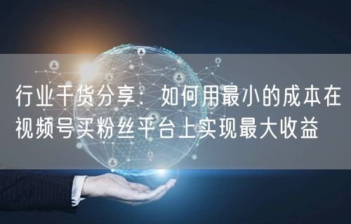 行业干货分享：如何用最小的成本在视频号买粉丝平台上实现最大收益