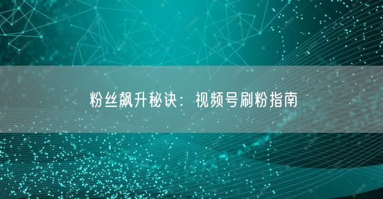 粉丝飙升秘诀：视频号刷粉指南