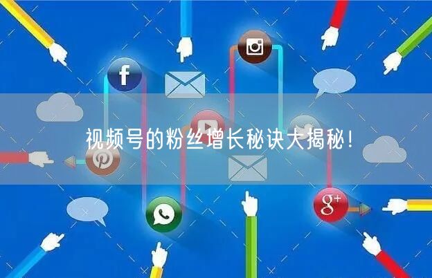 视频号的粉丝增长秘诀大揭秘！