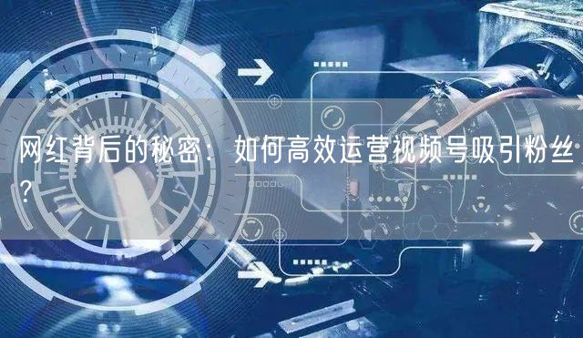 网红背后的秘密：如何高效运营视频号吸引粉丝？