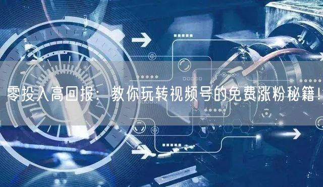 零投入高回报：教你玩转视频号的免费涨粉秘籍！