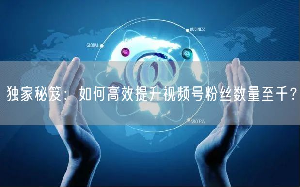 独家秘笈：如何高效提升视频号粉丝数量至千？
