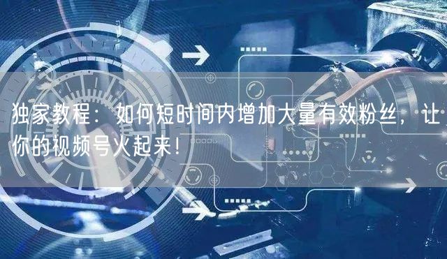 独家教程：如何短时间内增加大量有效粉丝，