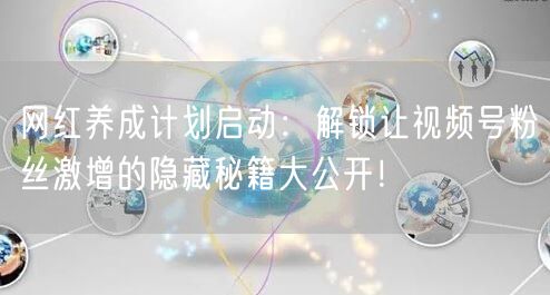 网红养成计划启动：解锁让视频号粉丝激增的
