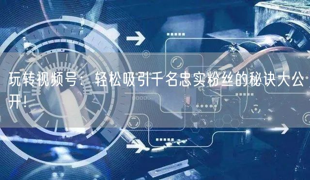 玩转视频号：轻松吸引千名忠实粉丝的秘诀大公开！