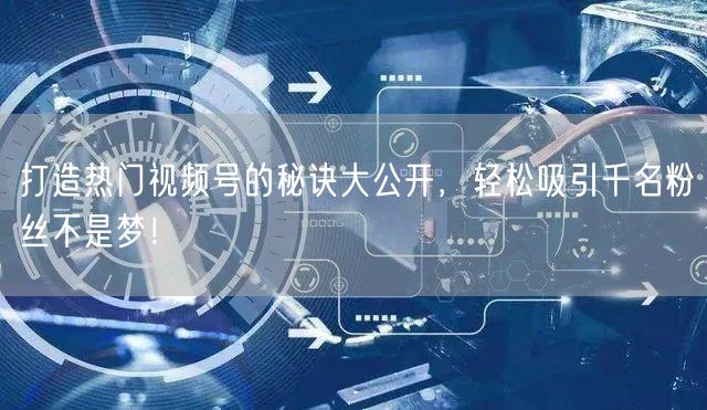 打造热门视频号的秘诀大公开，轻松吸引千名粉丝不是梦！