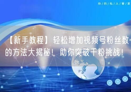 【新手教程】轻松增加视频号粉丝数的方法大