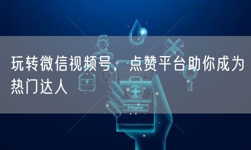 玩转微信视频号，点赞平台助你成为热门达人