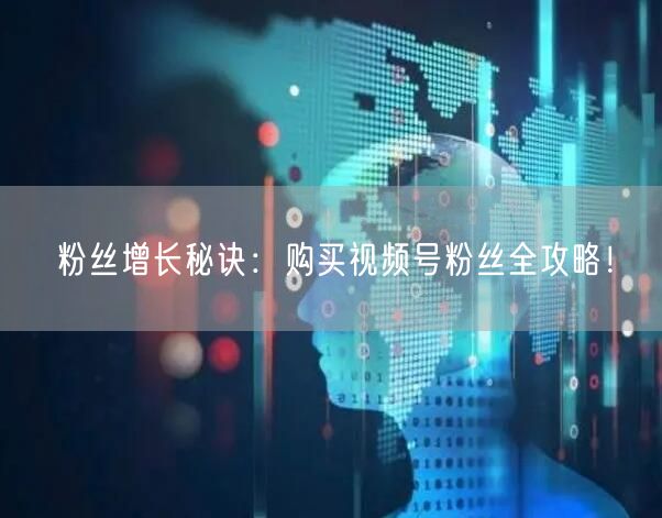 粉丝增长秘诀：购买视频号粉丝全攻略！