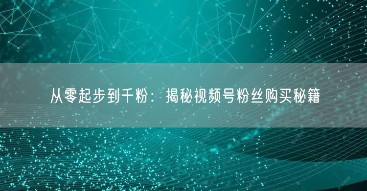 从零起步到千粉：揭秘视频号粉丝购买秘籍