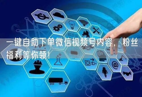 一键自助下单微信视频号内容，粉丝福利等你